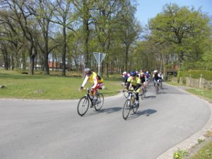 RTF Celle RH 046